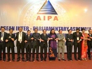 5. Sitzung der Beratungsgruppe für AIPA - ảnh 1